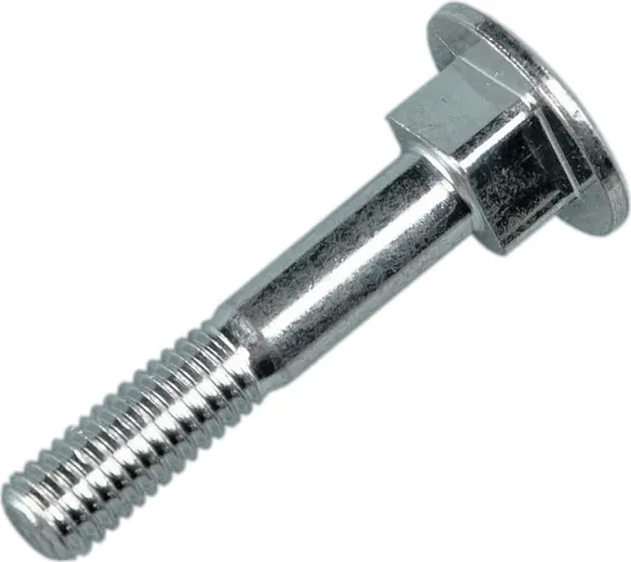 Фото Festool Винт TSF 55 FST-10000160 